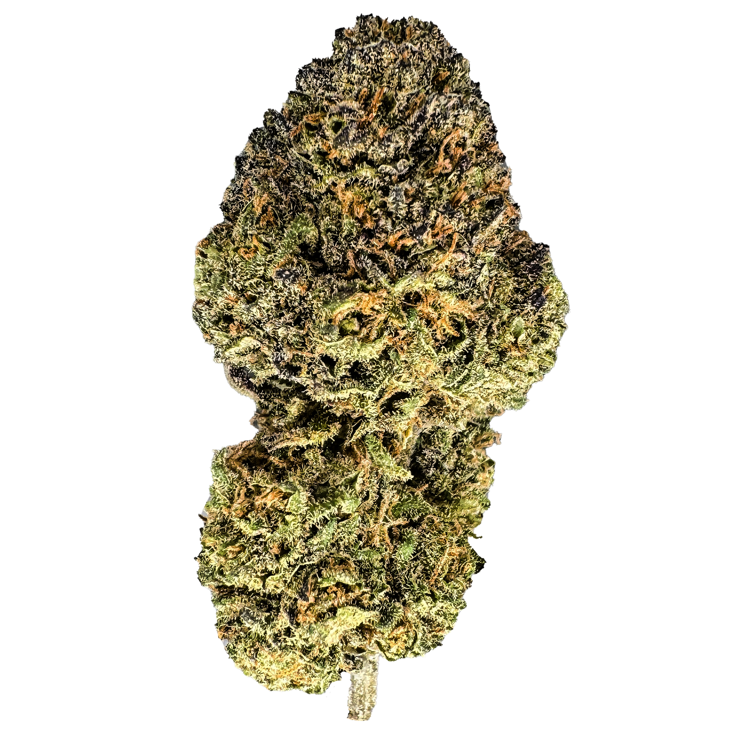 Candy Grape Ökopack Blüten Lucky Hemp