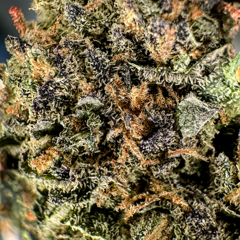 Candy Grape Ökopack Blüten Lucky Hemp
