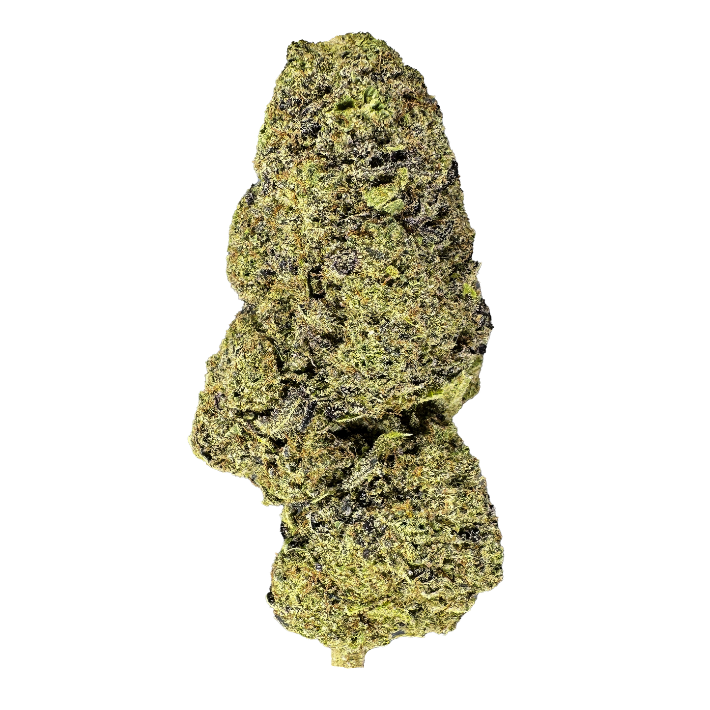 Ekologický balíček California Blueberry