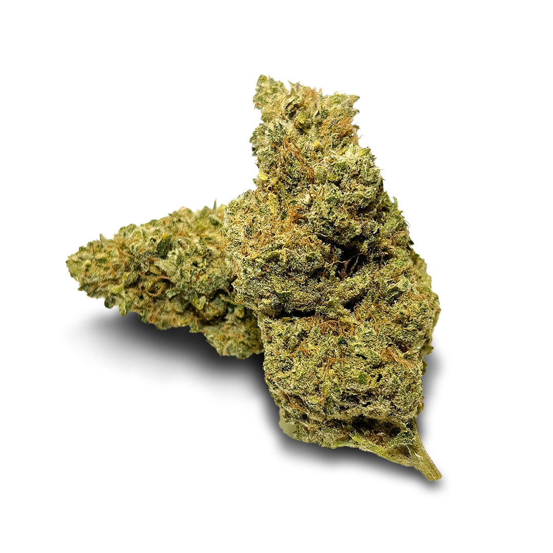 Ekologický balíček California Blueberry