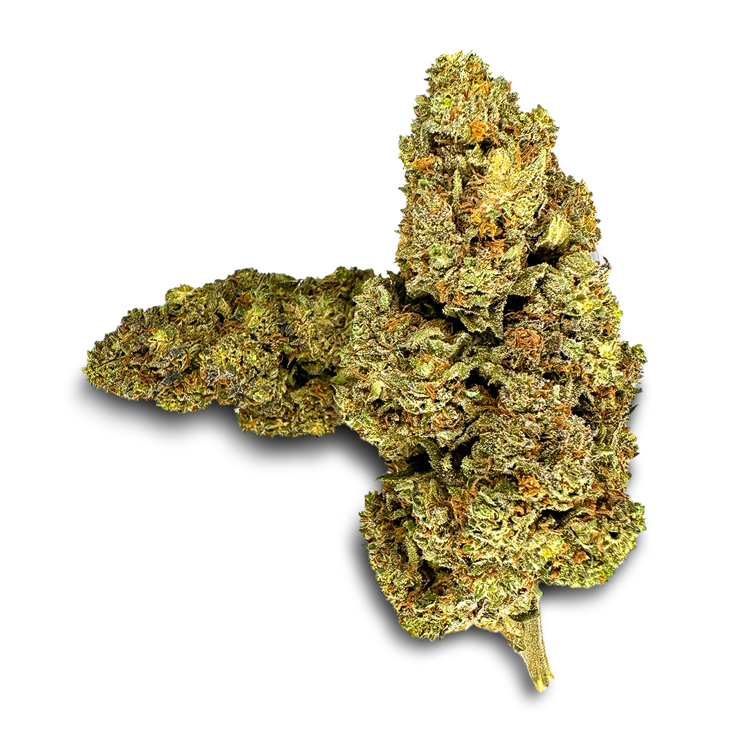 Ekologický balíček California Blueberry