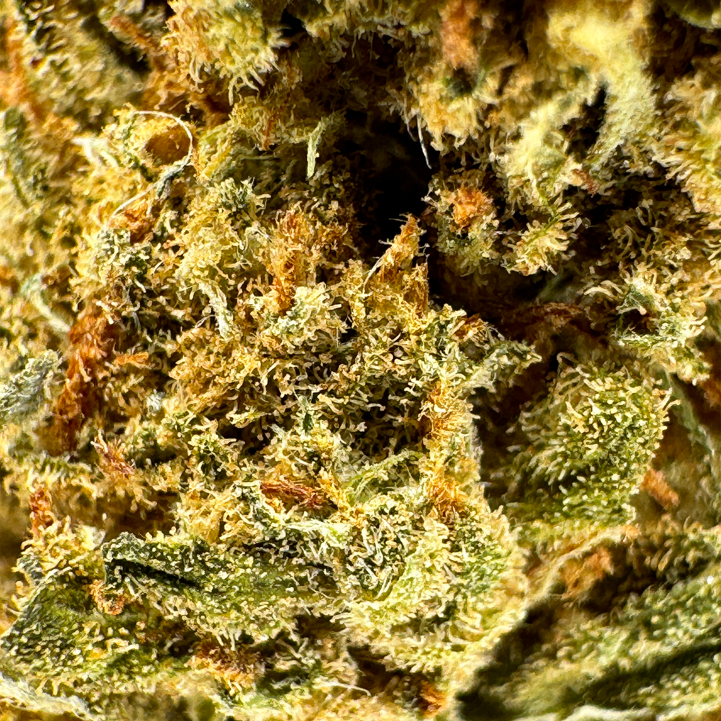 Super lemon Haze Hromadné zboží