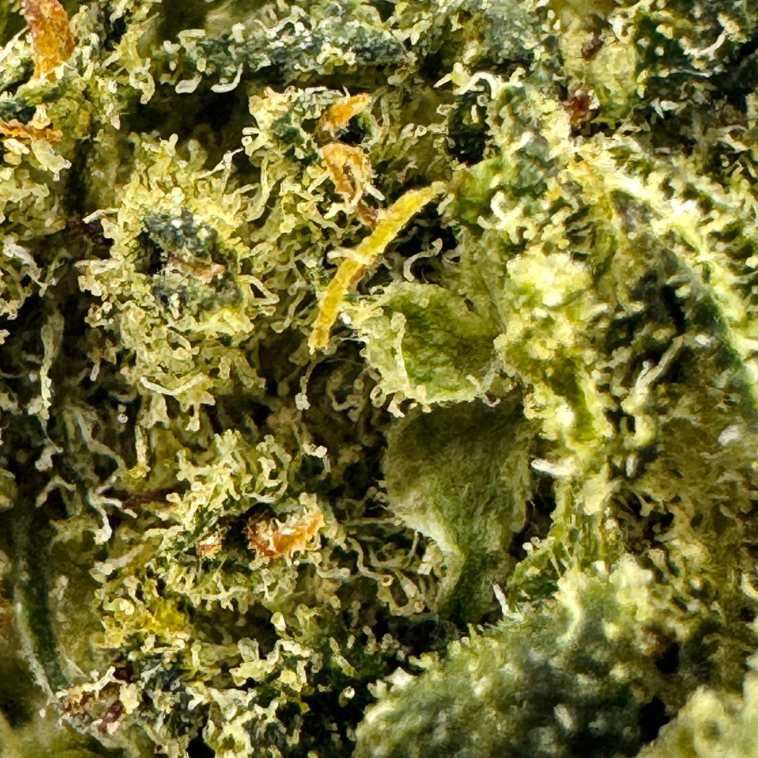 Berry Kush Hromadné zboží