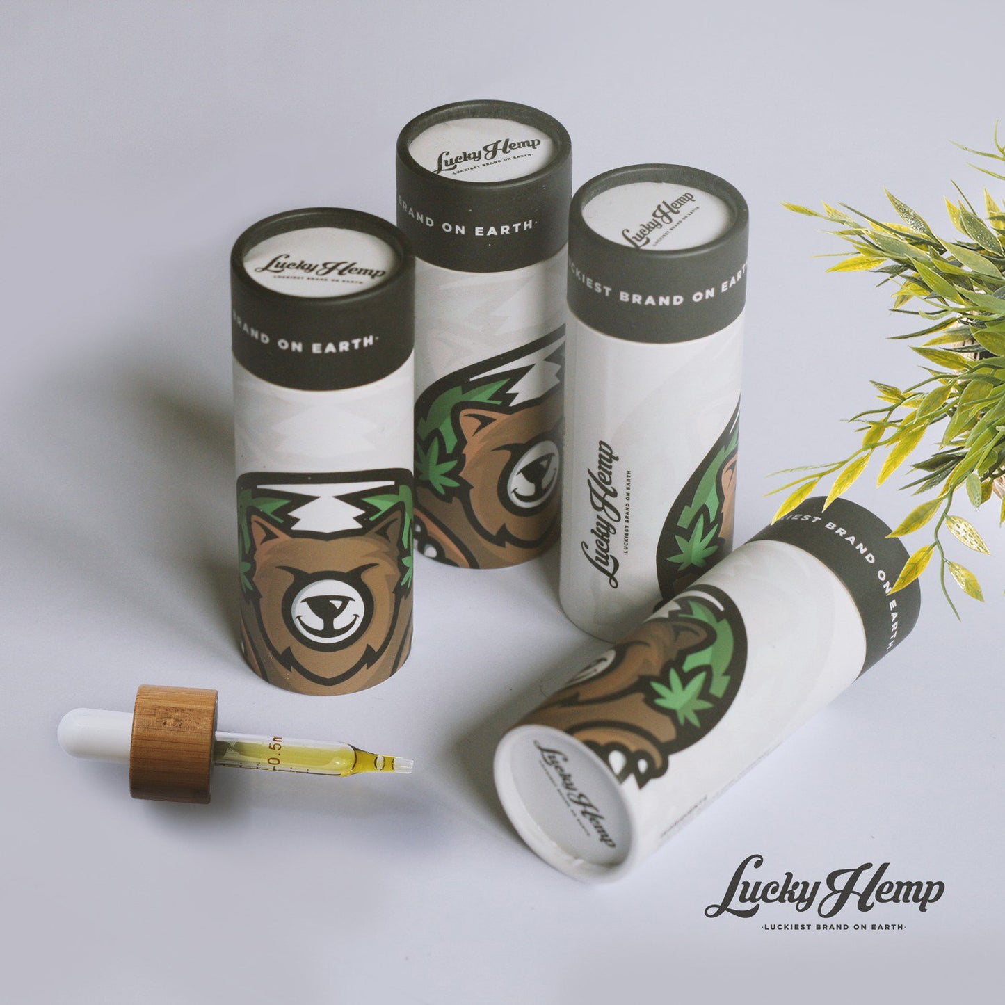 5% CBD oil 500mg full spectrum