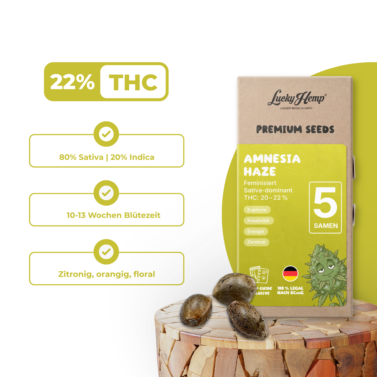 Amnesia Haze Samen Feminisiert