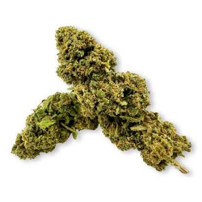 Ekologický balíček California Blueberry