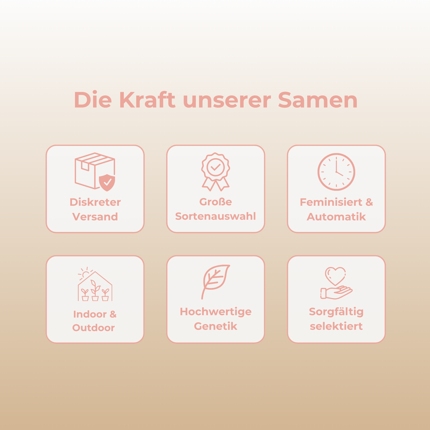 Biscotti Pink Champagne Samen Feminisiert