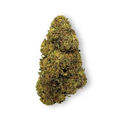 Tropical Haze Bulkware