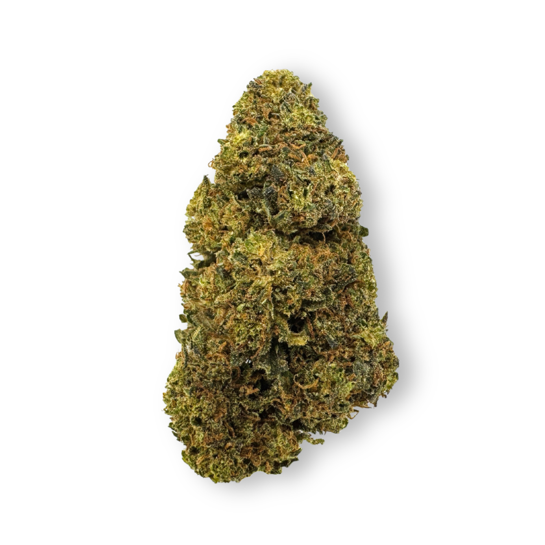 Tropical Haze