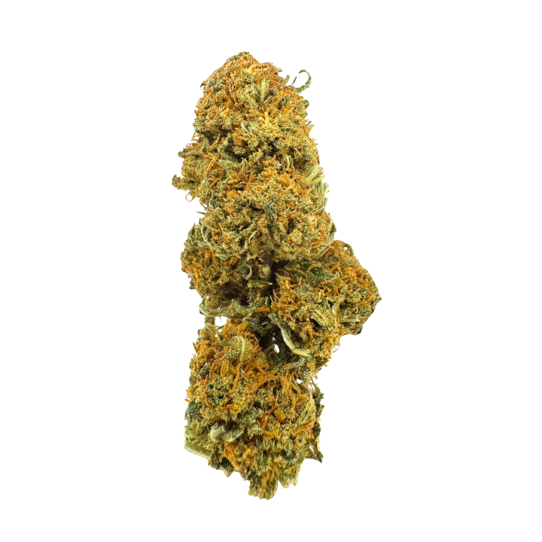 Mango Kush Ökopack Blüten Lucky Hemp