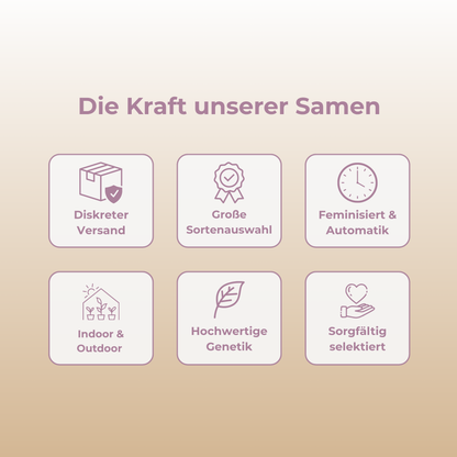 Gelato Samen Automatik