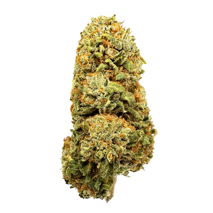 Mango CBG Bulkware