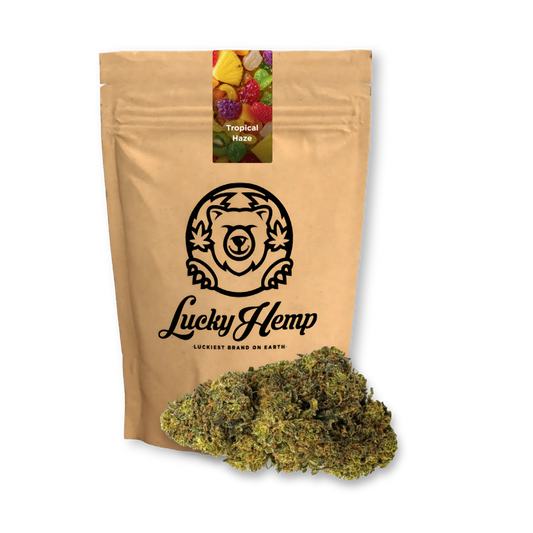 Tropical Haze