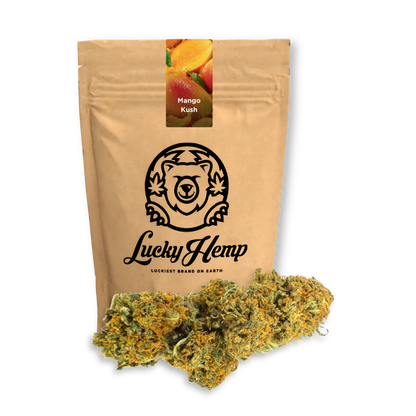 Mango Kush Ökopack Blüten Lucky Hemp