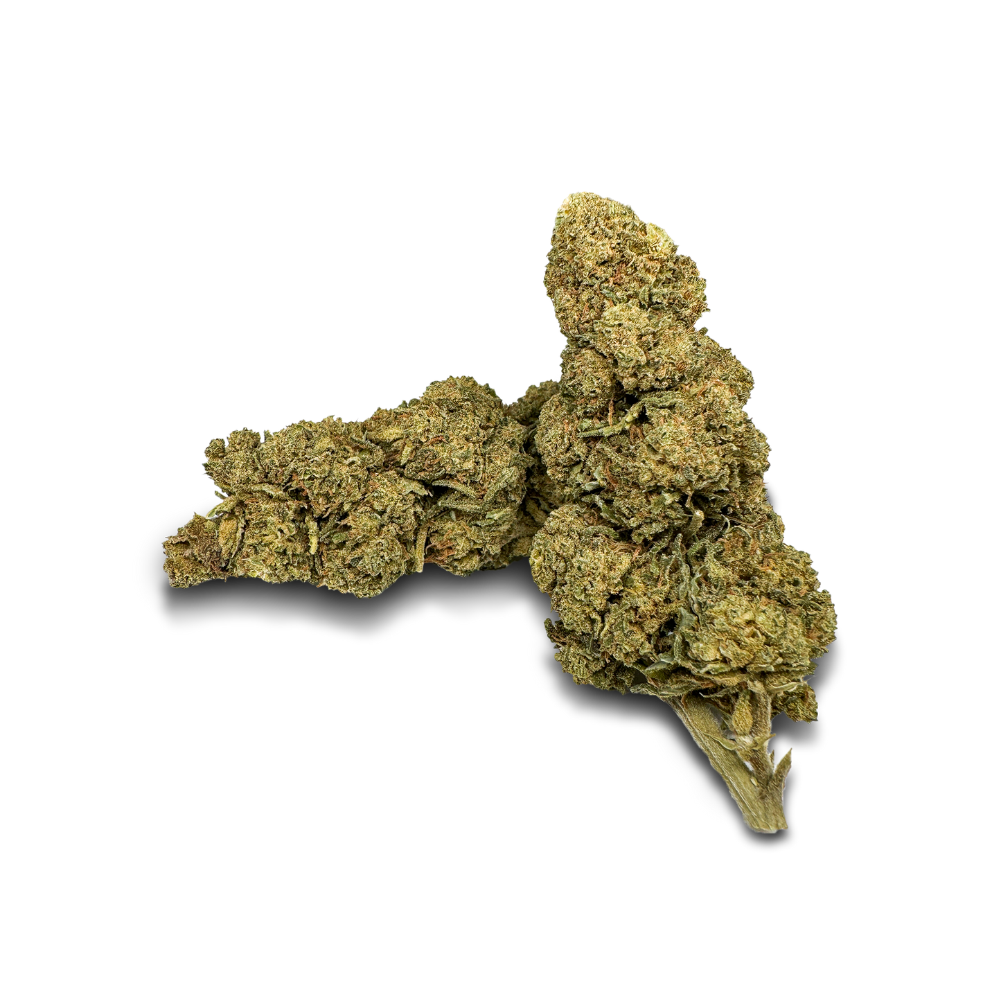 Orange Bud Hromadné zboží