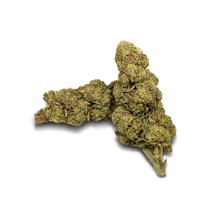 Orange Bud Hromadné zboží