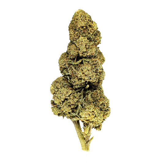 Orange Bud Hromadné zboží