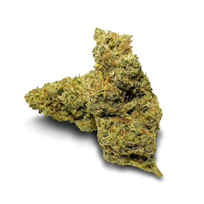 Ekologický balíček California Blueberry