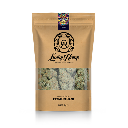 Ekologický balíček California Blueberry