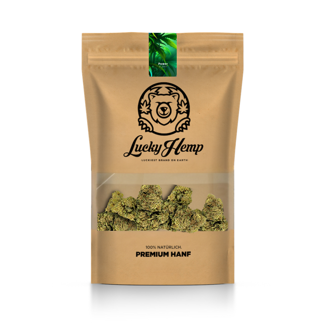 Power Plant mit Sichtfenster