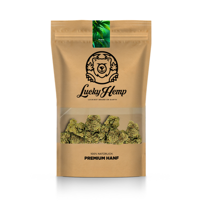 Power Plant mit Sichtfenster