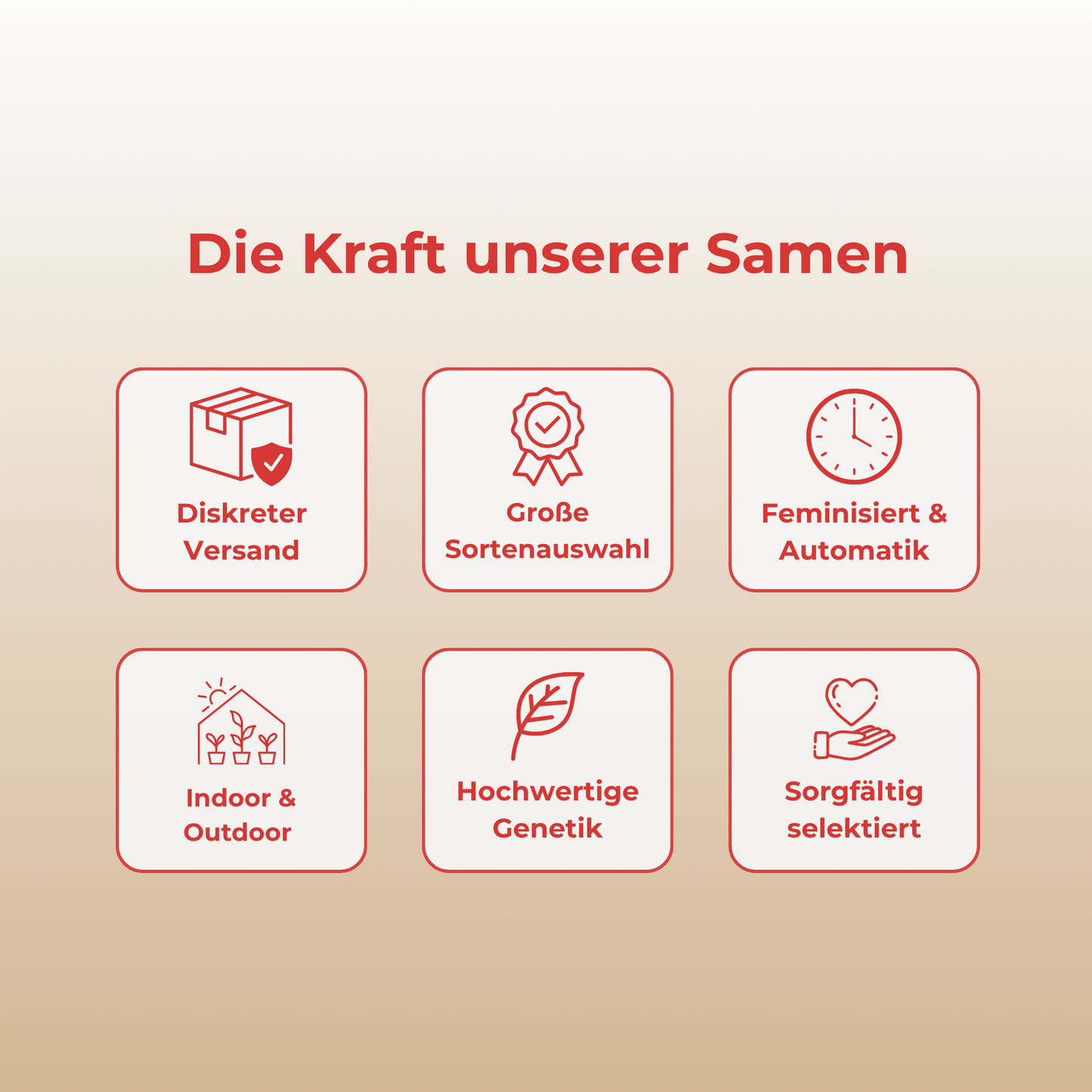 Strawberry Samen Automatik