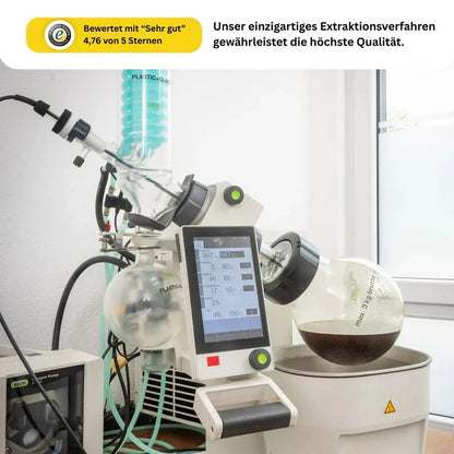 Berry Kush Hromadné zboží