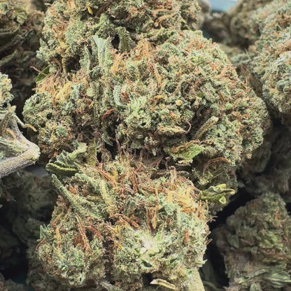 Berry Kush Hromadné zboží