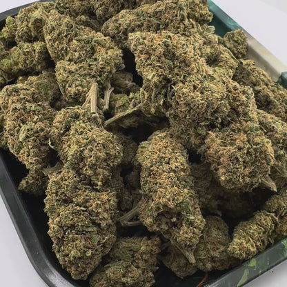 Berry Kush Hromadné zboží