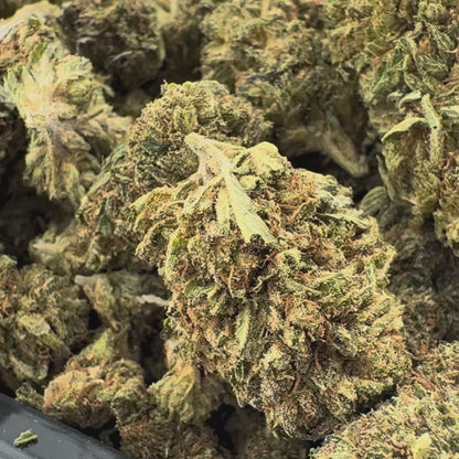 Berry Kush Hromadné zboží