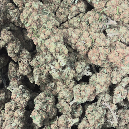 Berry Kush Hromadné zboží