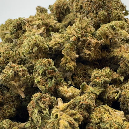Tropical Haze