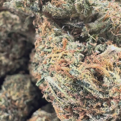 Berry Kush Hromadné zboží
